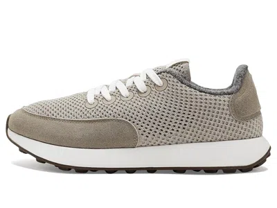 Allbirds Varsity Airy In Brown