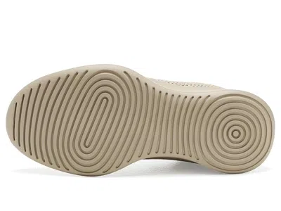 Allbirds Tree Runner Nz In Multi