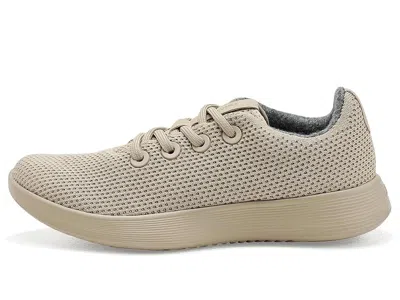 Allbirds Tree Runner Nz In Multi