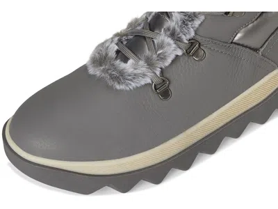 Cougar Bergen In Gray