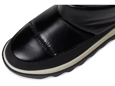 Cougar Bara In Black