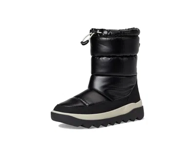 Cougar Bara In Black