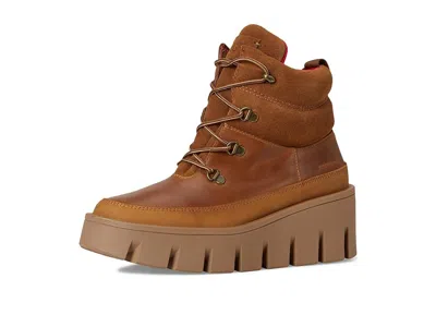 Cougar Niloa In Brown