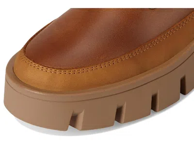 Cougar Niloa In Brown