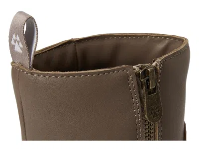 Cougar Villa In Brown