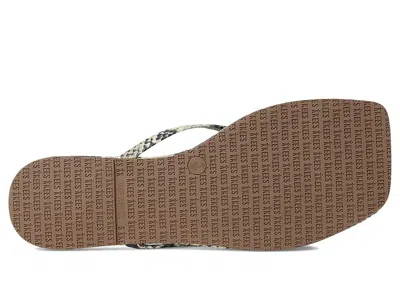 Tkees Square Toe Exotics