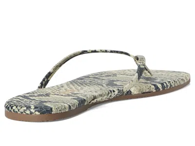 Tkees Square Toe Exotics