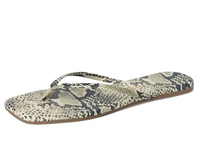 Tkees Square Toe Exotics