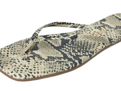 Tkees Square Toe Exotics