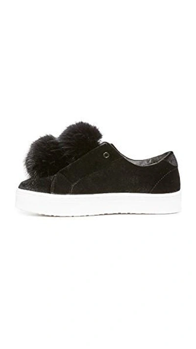 Shop Sam Edelman Leya Velvet Pom Pom Sneakers In Black Velvet