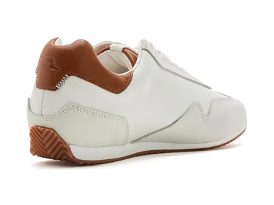 Wolf & Shepherd Pacer Lite