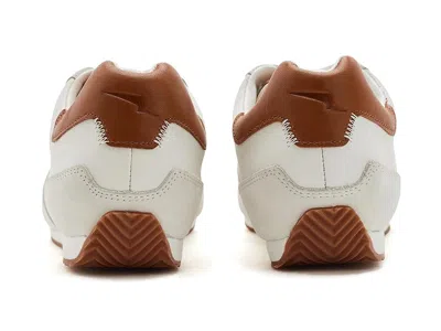 Wolf & Shepherd Pacer Lite