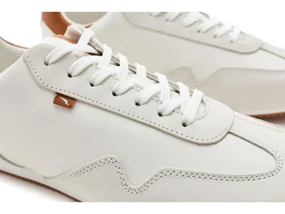 Wolf & Shepherd Pacer Lite