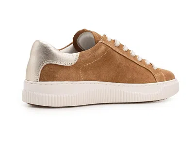 Söfft Frazier Ii Platform Sneaker In Brown