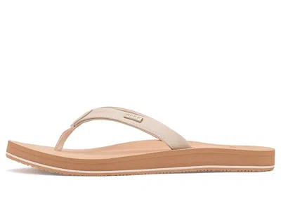 Reef Baja Sands In Sand