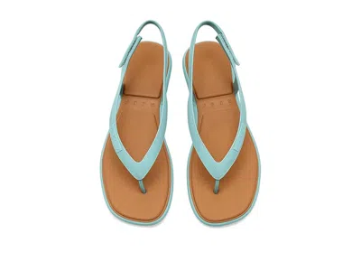 Reef Water Willow Maya In Blue