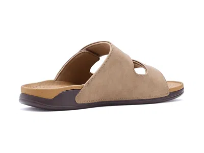 Reef Phantom Tradewind In Brown