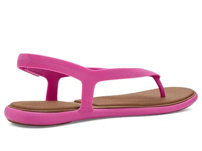 Reef Water Willow Maya