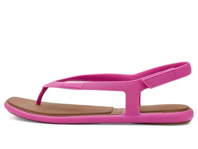 Reef Water Willow Maya