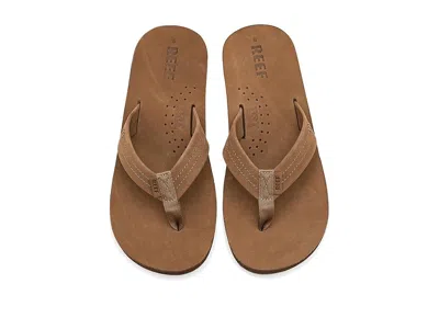 Reef Draftsmen In Multi