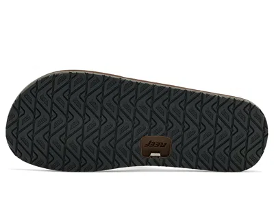 Reef Draftsmen In Multi