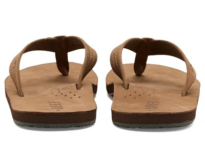 Reef Draftsmen In Multi