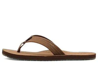 Reef Draftsmen In Multi