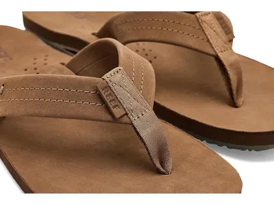 Reef Draftsmen In Multi