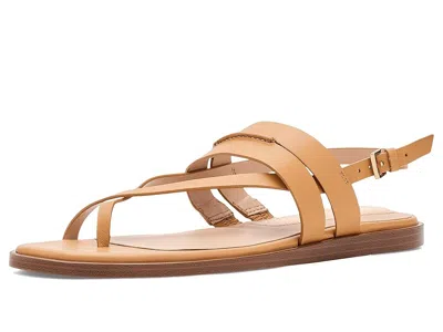 Cole Haan Go-to Estella Flat Leather Thong Sandal In Brown