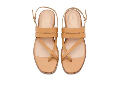 Cole Haan Go-to Estella Flat Leather Thong Sandal In Brown