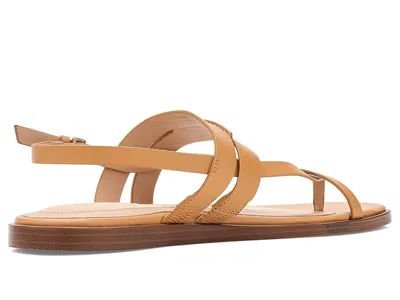 Cole Haan Go-to Estella Flat Leather Thong Sandal In Brown
