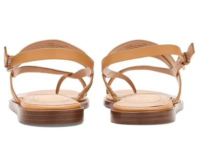 Cole Haan Go-to Estella Flat Leather Thong Sandal In Brown