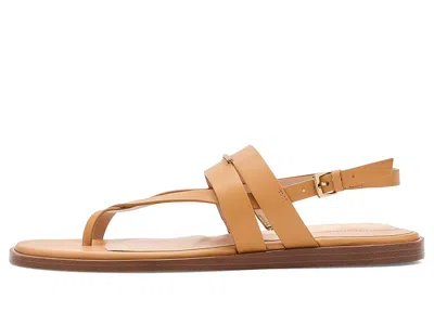 Cole Haan Go-to Estella Flat Leather Thong Sandal In Brown