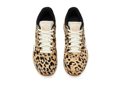 Reebok Classic Az Animal Sneaker In Multi