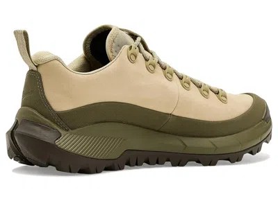 Danner Mtn45 Low Desert Moss In Neutral
