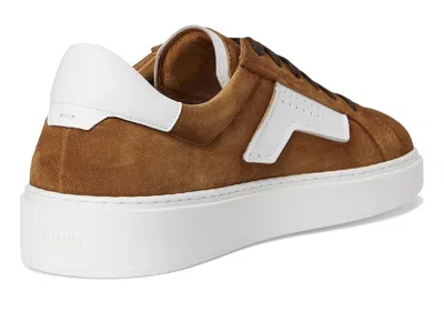 Magnanni Phoenix In Multi