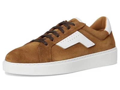 Magnanni Phoenix In Multi