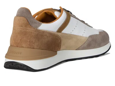 Magnanni Eu Bravo In Multi