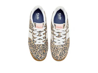 Keds Revival Lace-up In Brown