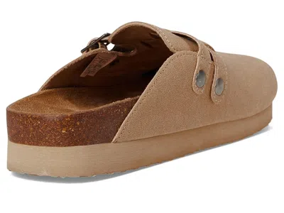 Rocket Dog Abel Plus In Brown