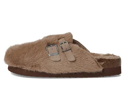 Rocket Dog Abel Plus