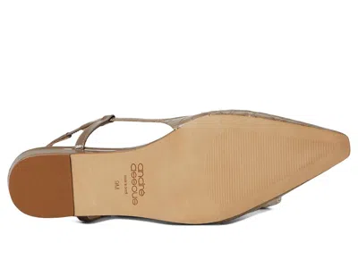 Andre Assous Blake In Brown