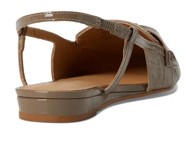 Andre Assous Blake In Brown