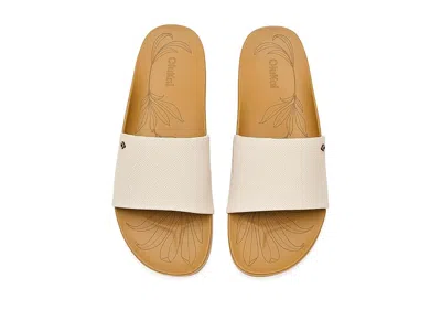 Olukai Kipe'a Pono In Multi