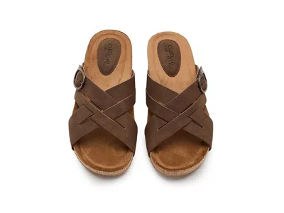 Eurosoft Grainger In Brown