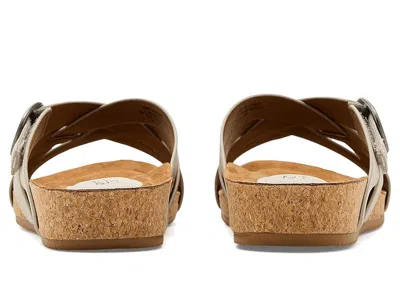 Eurosoft Grainger In Multi