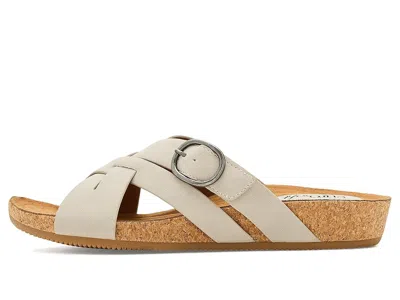 Eurosoft Grainger In Multi