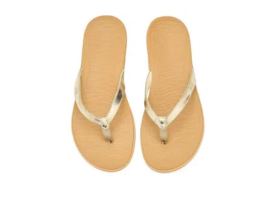 Sanuk Wave Whisper In Multi