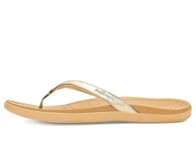 Sanuk Wave Whisper In Multi