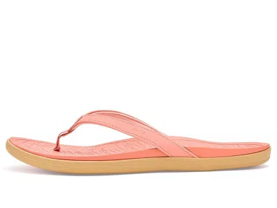 Sanuk Wave Whisper In Multi